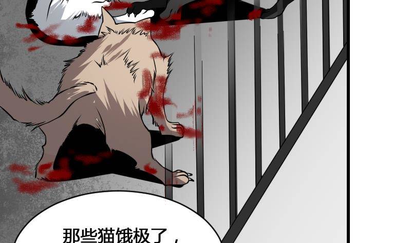 纹阴师韩漫全集-第12话 虐猫狂人无删减无遮挡章节图片 