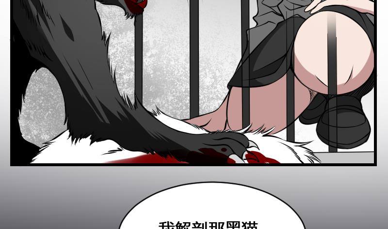 纹阴师韩漫全集-第12话 虐猫狂人无删减无遮挡章节图片 