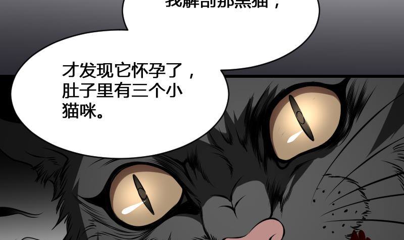 纹阴师韩漫全集-第12话 虐猫狂人无删减无遮挡章节图片 