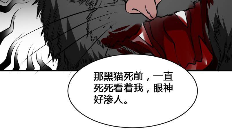 纹阴师韩漫全集-第12话 虐猫狂人无删减无遮挡章节图片 