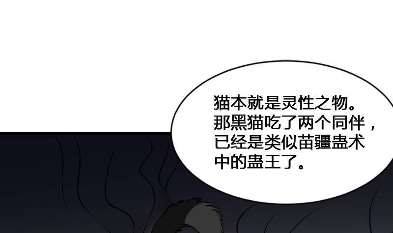 纹阴师韩漫全集-第12话 虐猫狂人无删减无遮挡章节图片 