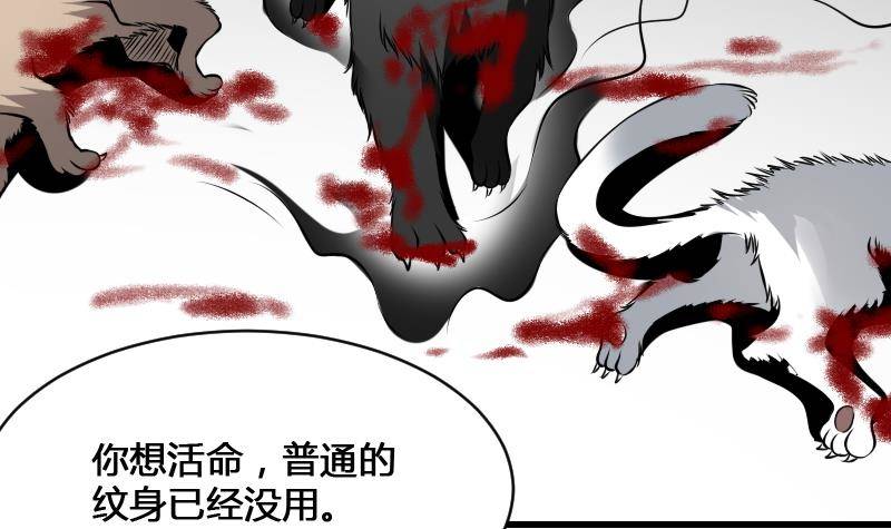 纹阴师韩漫全集-第12话 虐猫狂人无删减无遮挡章节图片 