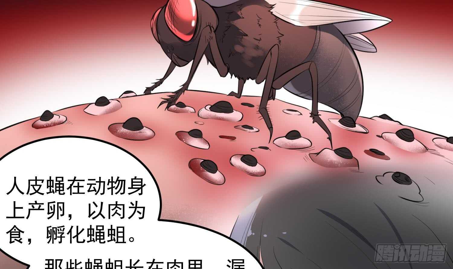 纹阴师韩漫全集-第150话 黑暗中的眼睛无删减无遮挡章节图片 