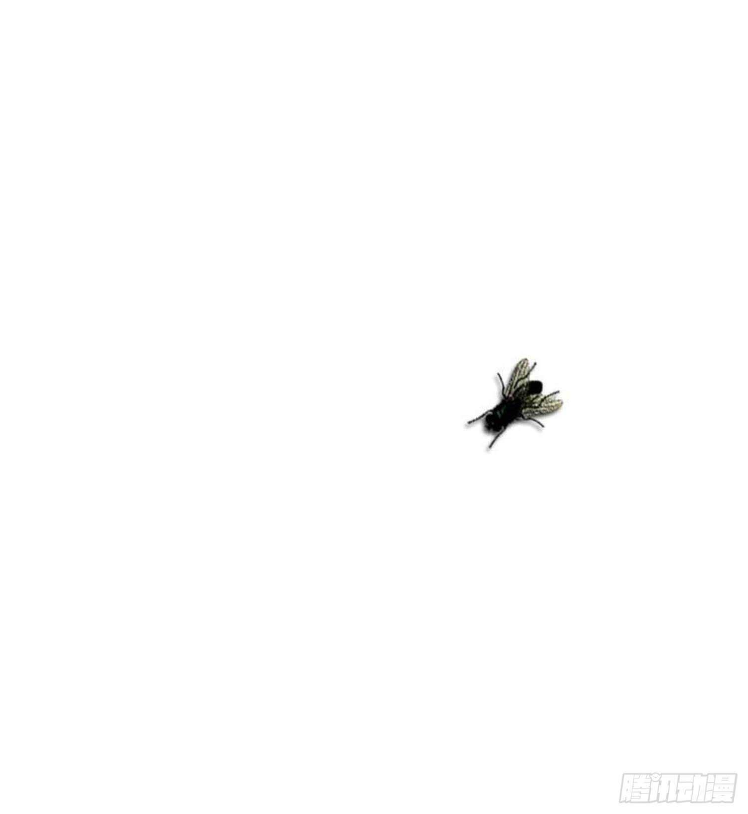 纹阴师韩漫全集-第154话 文莹蚊蝇无删减无遮挡章节图片 