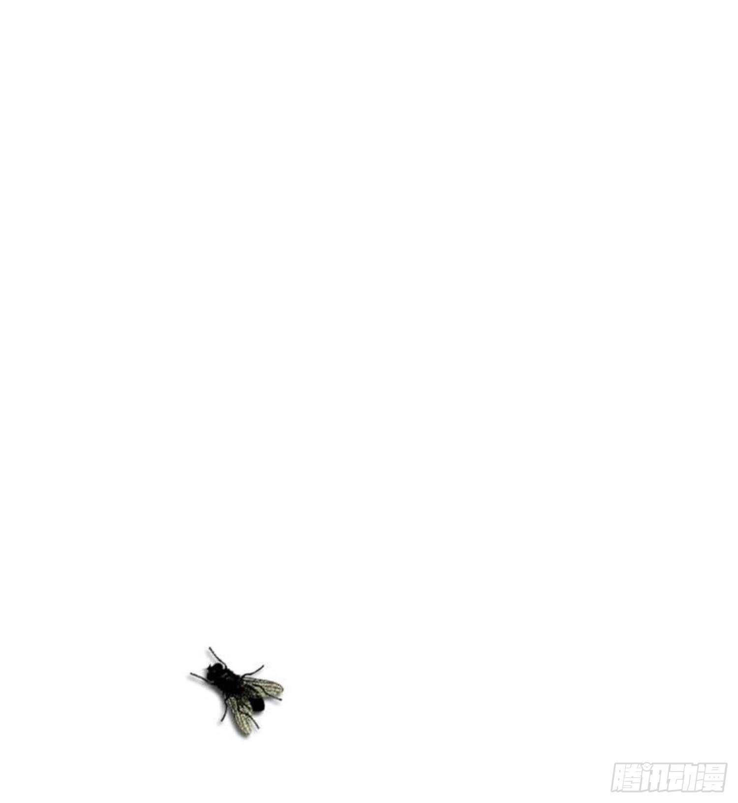 纹阴师韩漫全集-第154话 文莹蚊蝇无删减无遮挡章节图片 