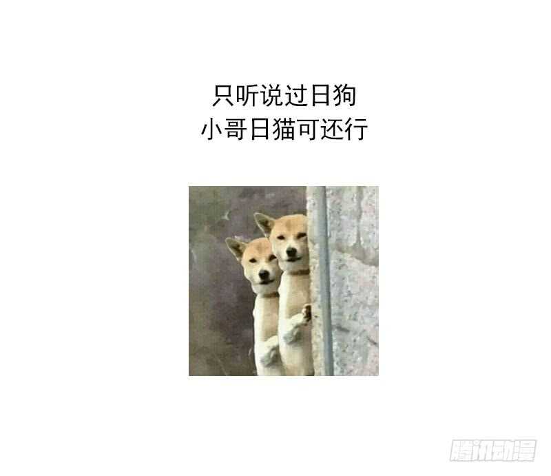 纹阴师韩漫全集-第31话 听说你日猫了无删减无遮挡章节图片 