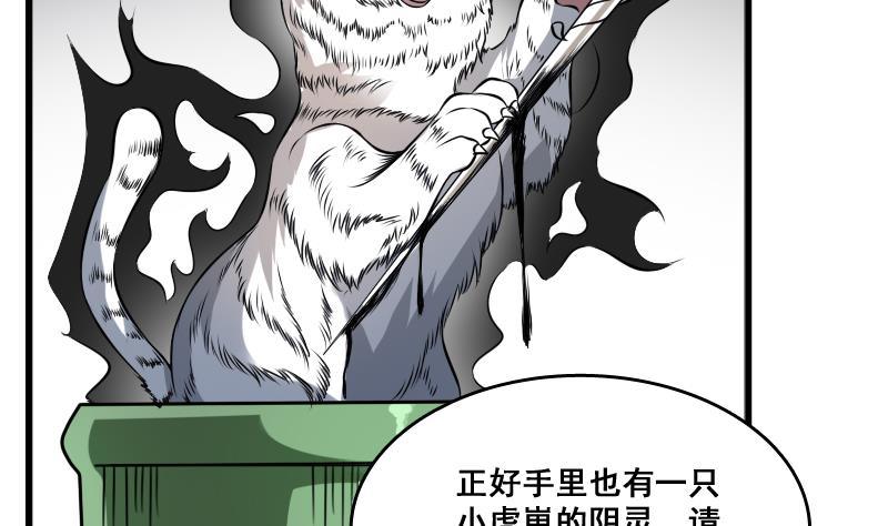 纹阴师韩漫全集-第6话 猛虎护虎图无删减无遮挡章节图片 