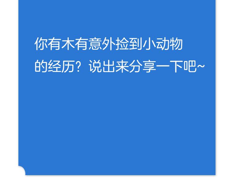 我，5厘米韩漫全集-番外 “烤肉”历险记无删减无遮挡章节图片 