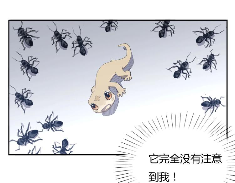 我，5厘米韩漫全集-第3话 是宠物？还是干粮？无删减无遮挡章节图片 