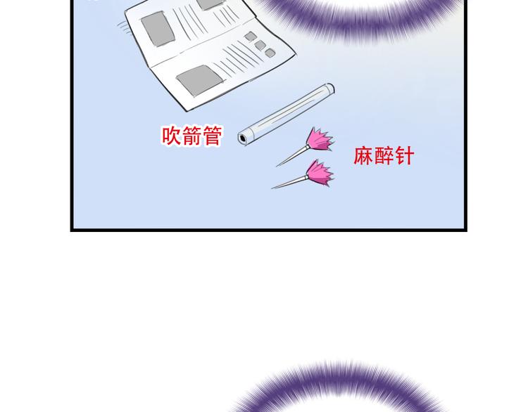 我绑架了大小姐？！韩漫全集-第18话 来一决胜负！无删减无遮挡章节图片 