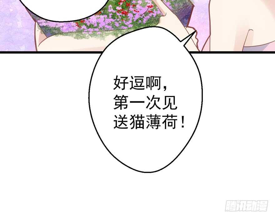 我才不是恶毒女配（麻辣女配）韩漫全集-有惊无险首映礼无删减无遮挡章节图片 