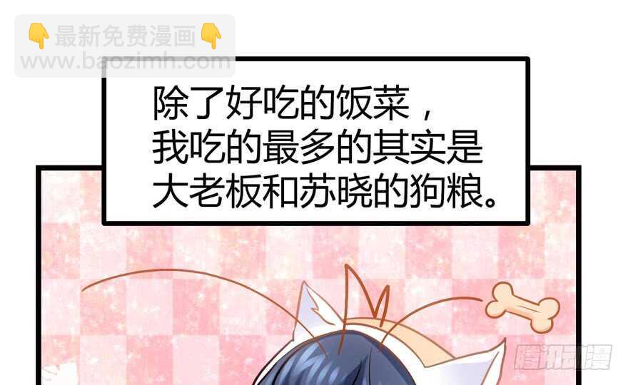 我才不是恶毒女配（麻辣女配）韩漫全集-番外，苏晓的助理（完）无删减无遮挡章节图片 