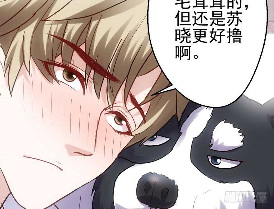 我才不是恶毒女配（麻辣女配）韩漫全集-呆若木鸡无删减无遮挡章节图片 