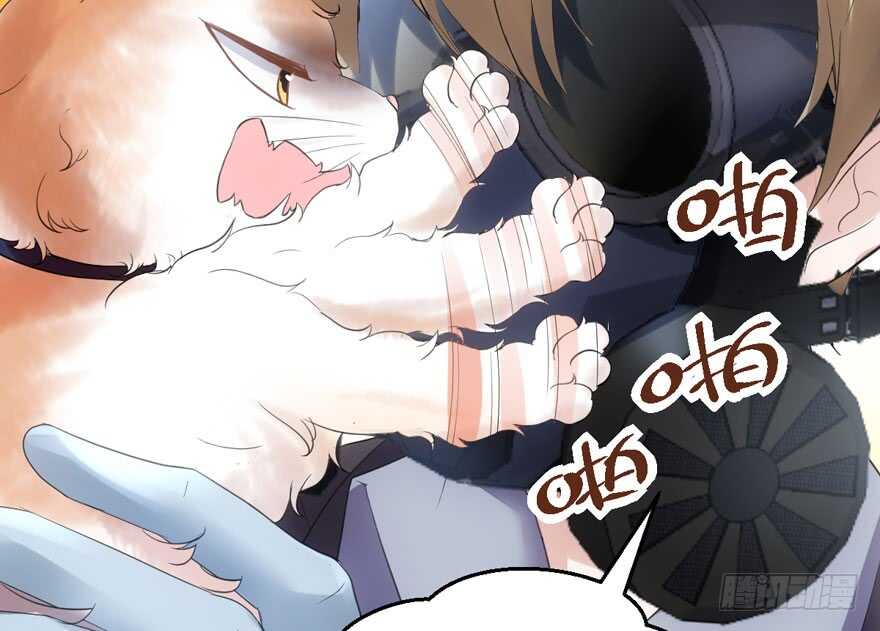 我才不是恶毒女配（麻辣女配）韩漫全集-传说中的肖宝贝无删减无遮挡章节图片 