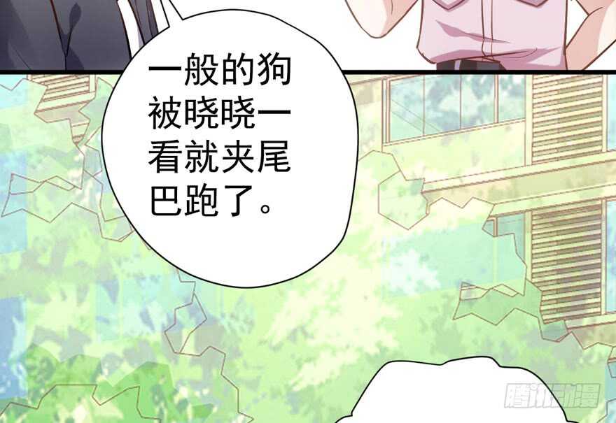 我才不是恶毒女配（麻辣女配）韩漫全集-猛虎撒娇只为哥无删减无遮挡章节图片 