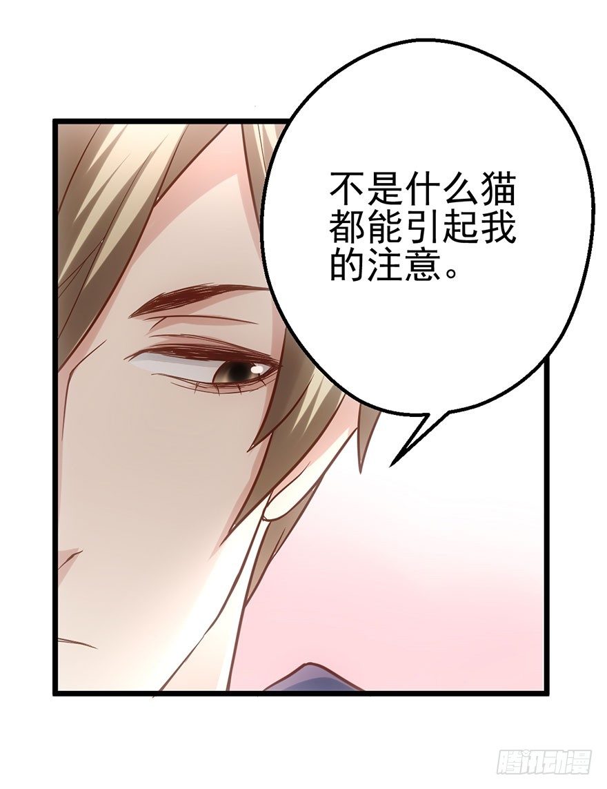 我才不是恶毒女配（麻辣女配）韩漫全集-铲屎官的自我修养无删减无遮挡章节图片 