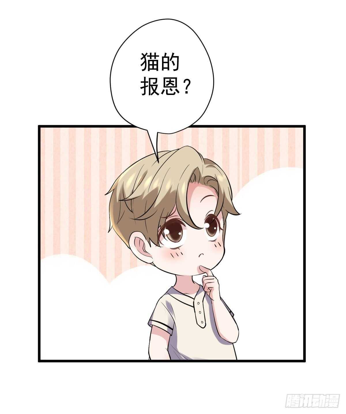 我才不是恶毒女配（麻辣女配）韩漫全集-苏晓，我挺你！无删减无遮挡章节图片 