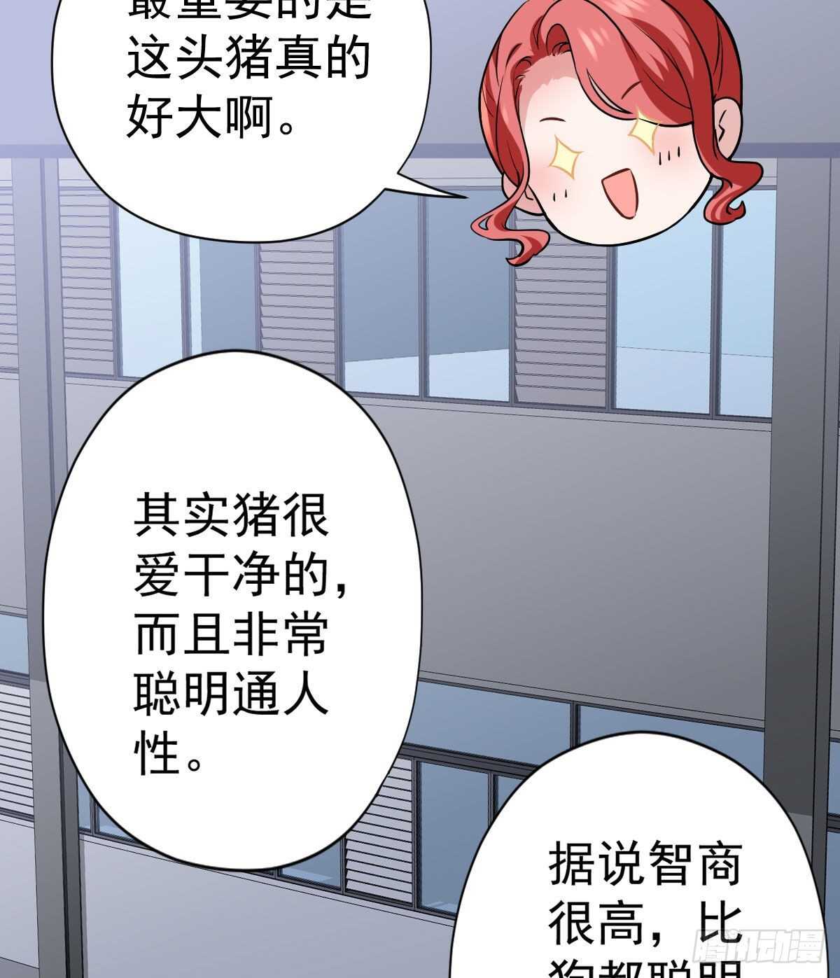 我才不是恶毒女配（麻辣女配）韩漫全集-苏晓的新坐骑无删减无遮挡章节图片 