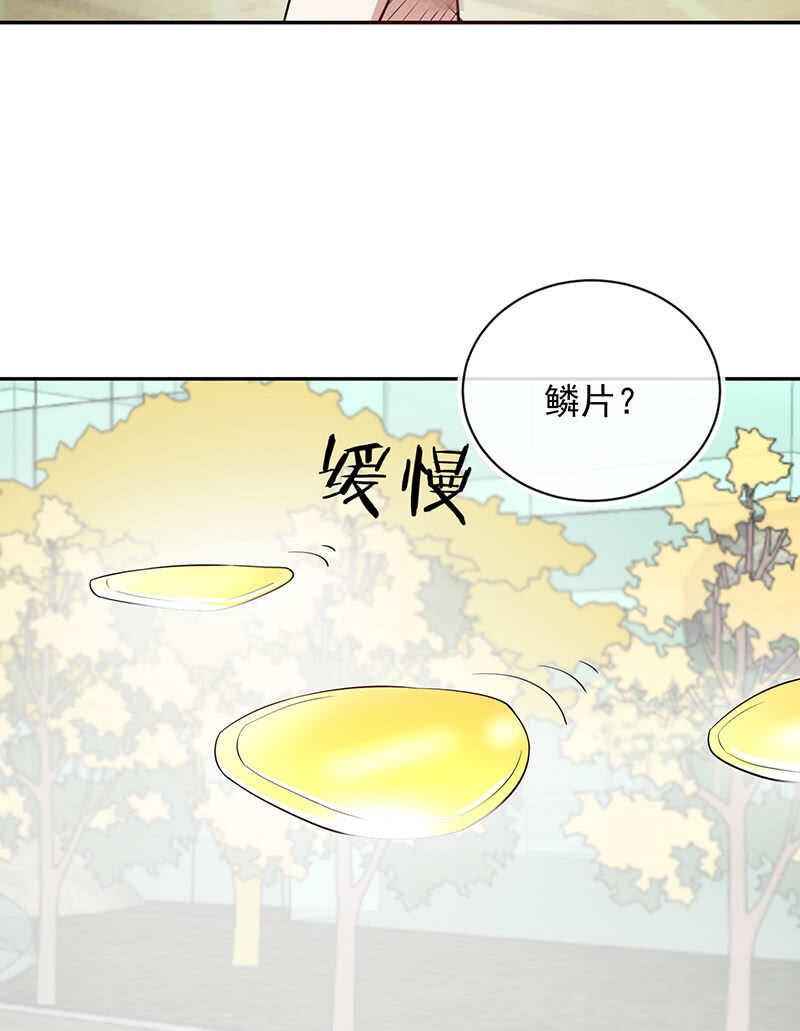 我的充电女友韩漫全集-终结者还是生化危机无删减无遮挡章节图片 
