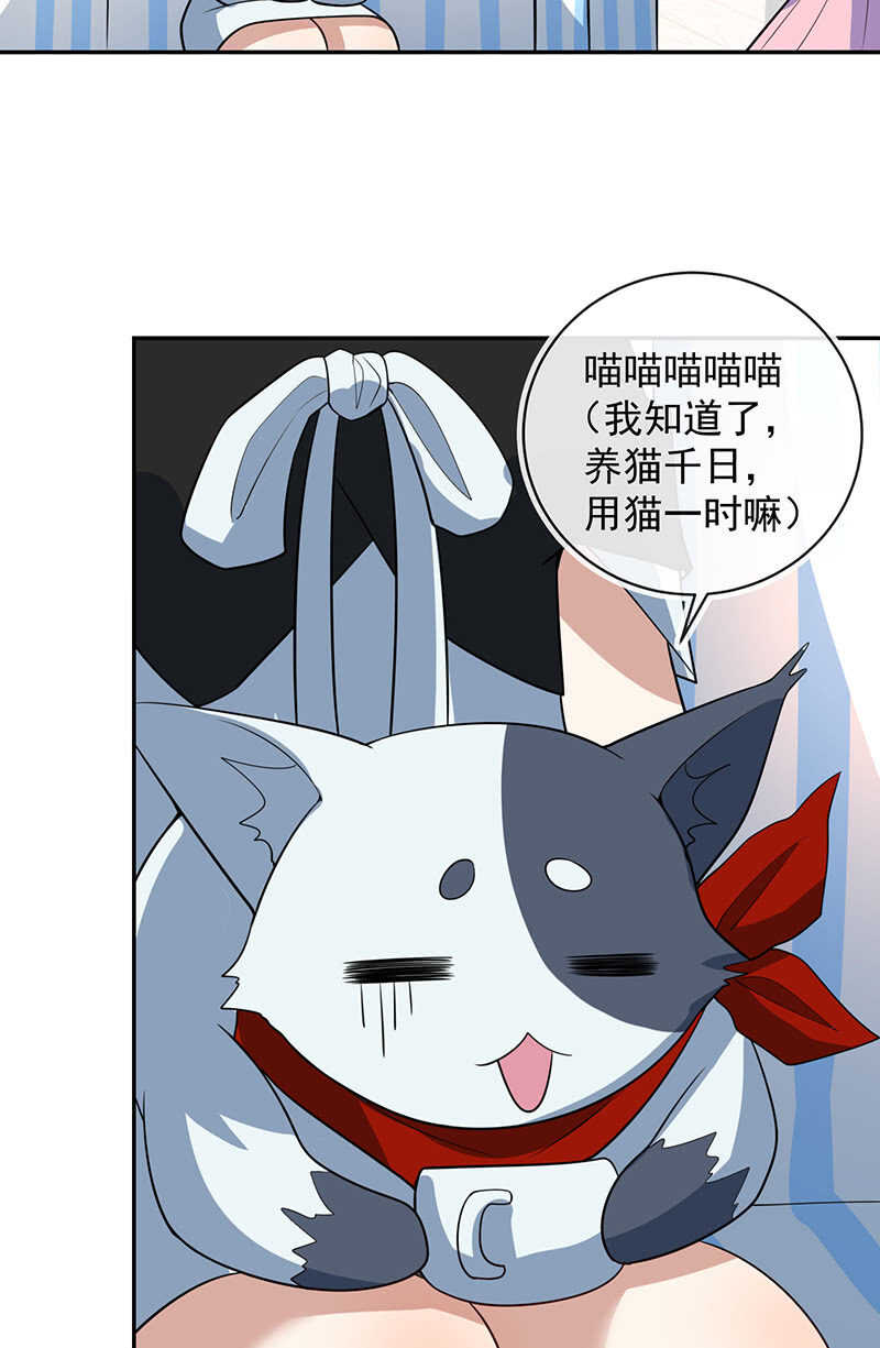 我的充电女友韩漫全集-猫猫特工队无删减无遮挡章节图片 