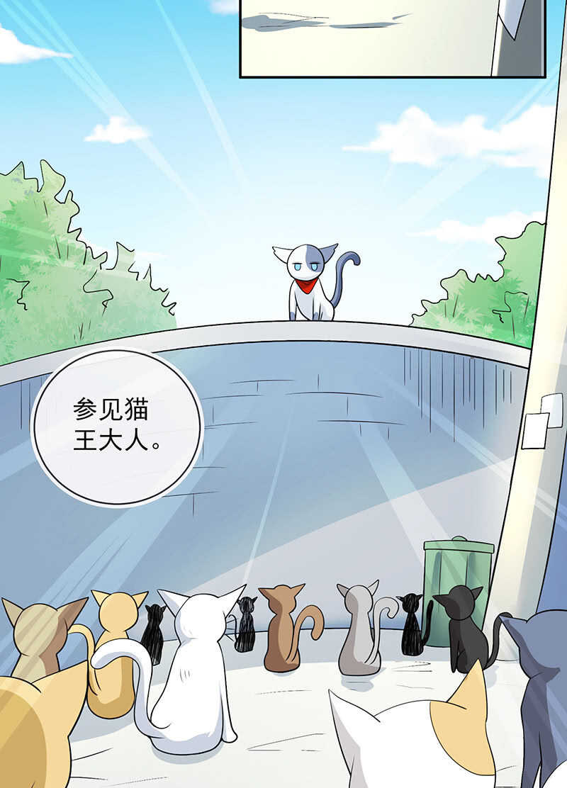 我的充电女友韩漫全集-猫猫特工队无删减无遮挡章节图片 