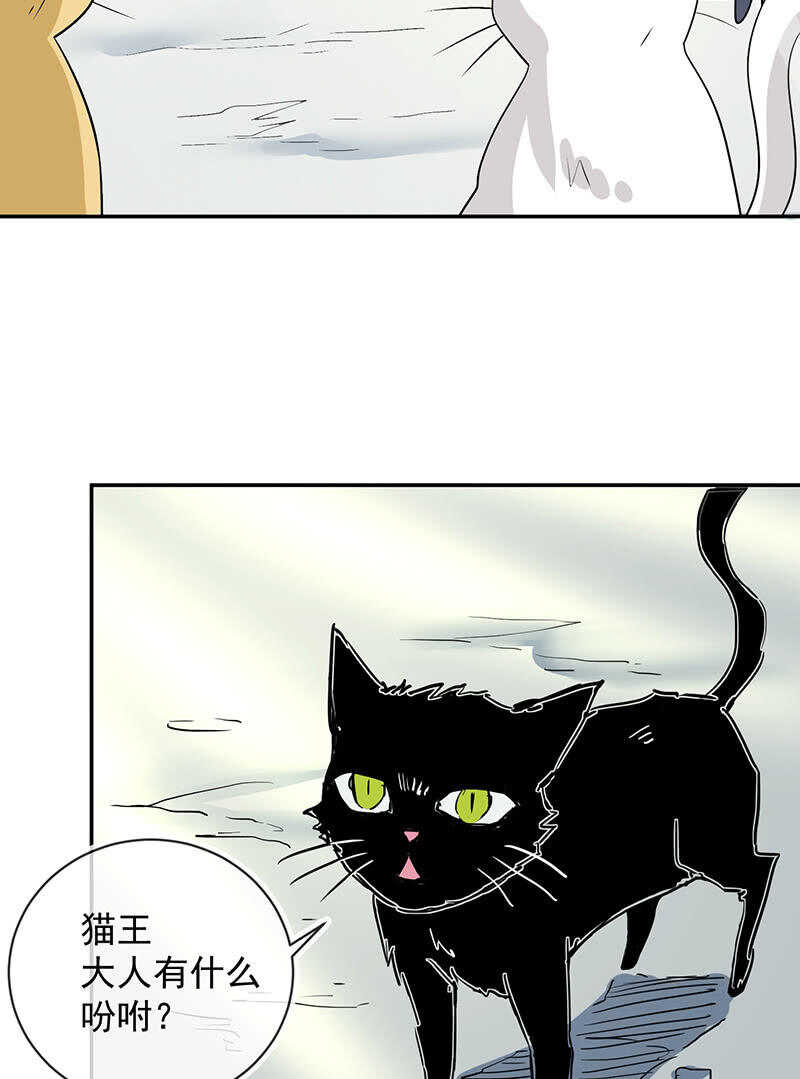 我的充电女友韩漫全集-猫猫特工队无删减无遮挡章节图片 