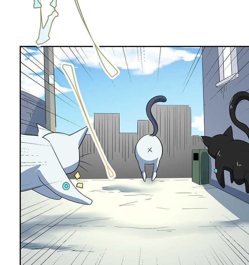 我的充电女友韩漫全集-猫猫特工队无删减无遮挡章节图片 
