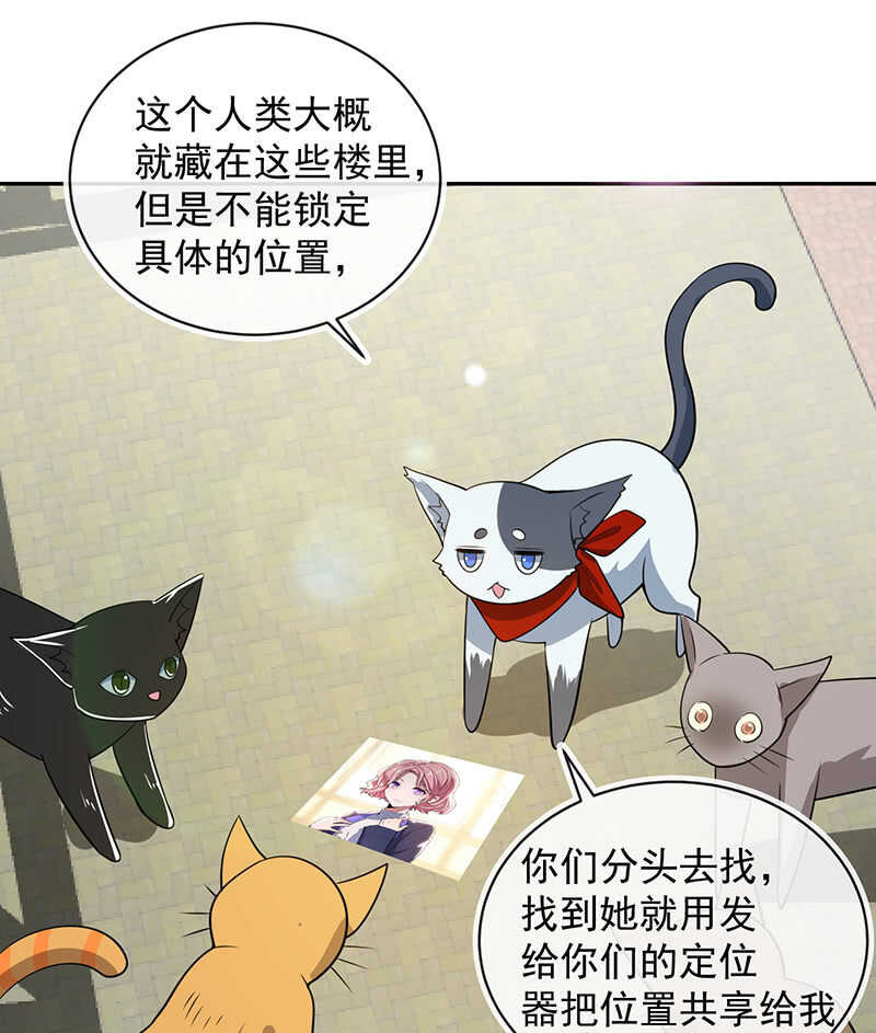我的充电女友韩漫全集-猫猫特工队无删减无遮挡章节图片 