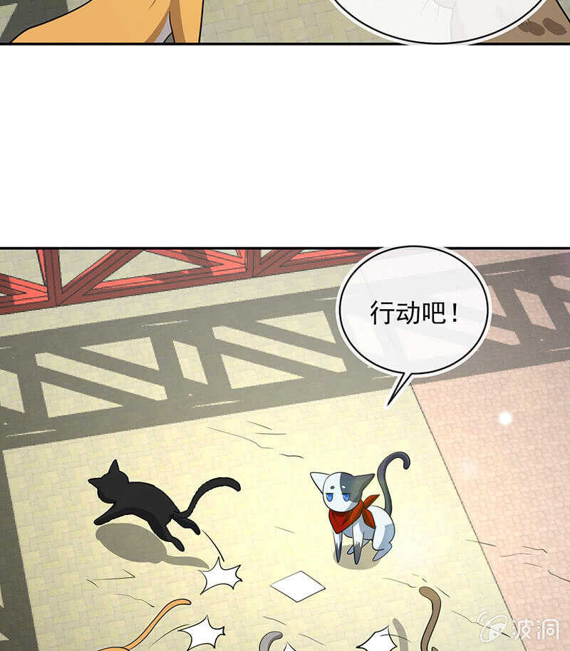 我的充电女友韩漫全集-猫猫特工队无删减无遮挡章节图片 
