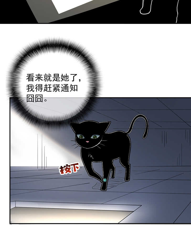 我的充电女友韩漫全集-猫猫特工队无删减无遮挡章节图片 