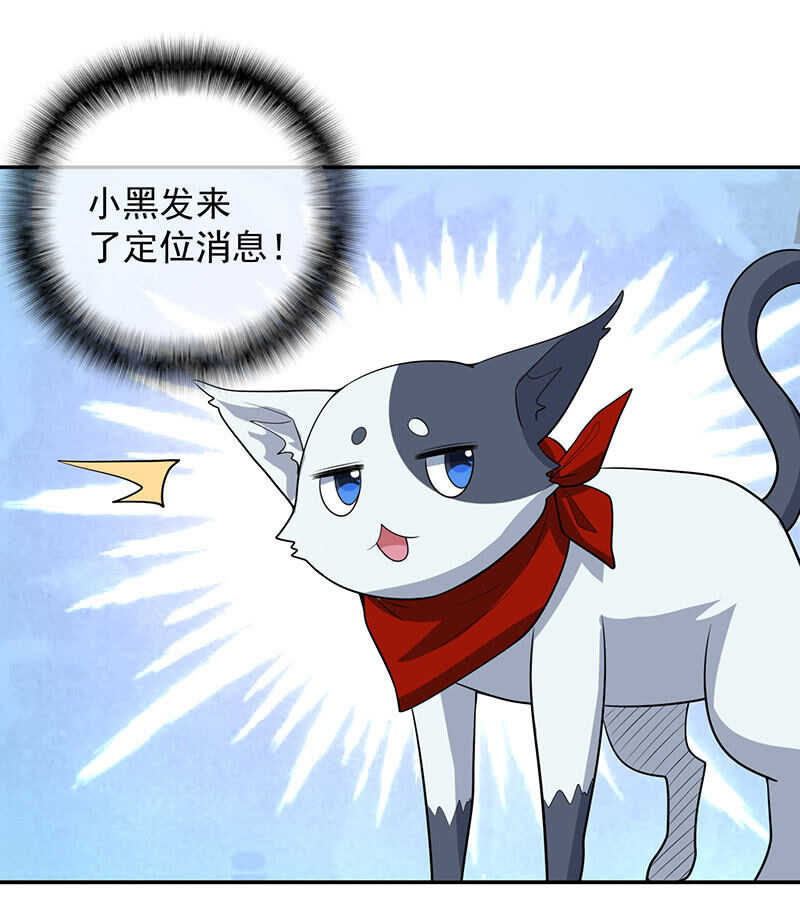 我的充电女友韩漫全集-猫猫特工队无删减无遮挡章节图片 