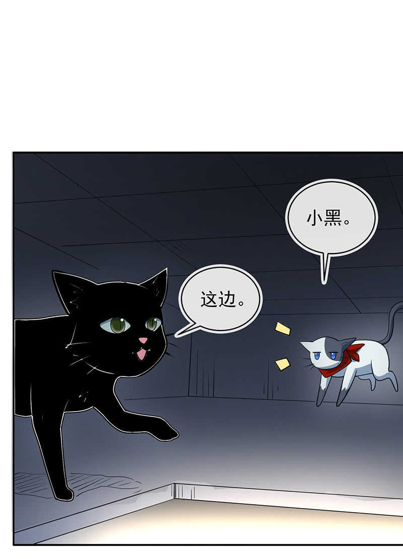 我的充电女友韩漫全集-猫猫特工队无删减无遮挡章节图片 