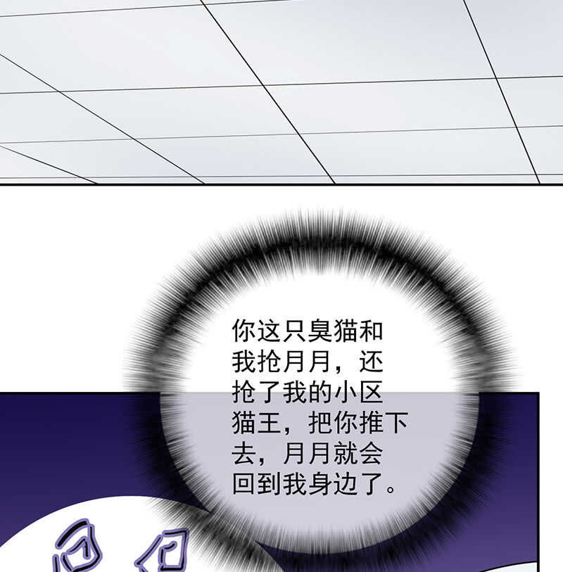 我的充电女友韩漫全集-猫猫特工队无删减无遮挡章节图片 