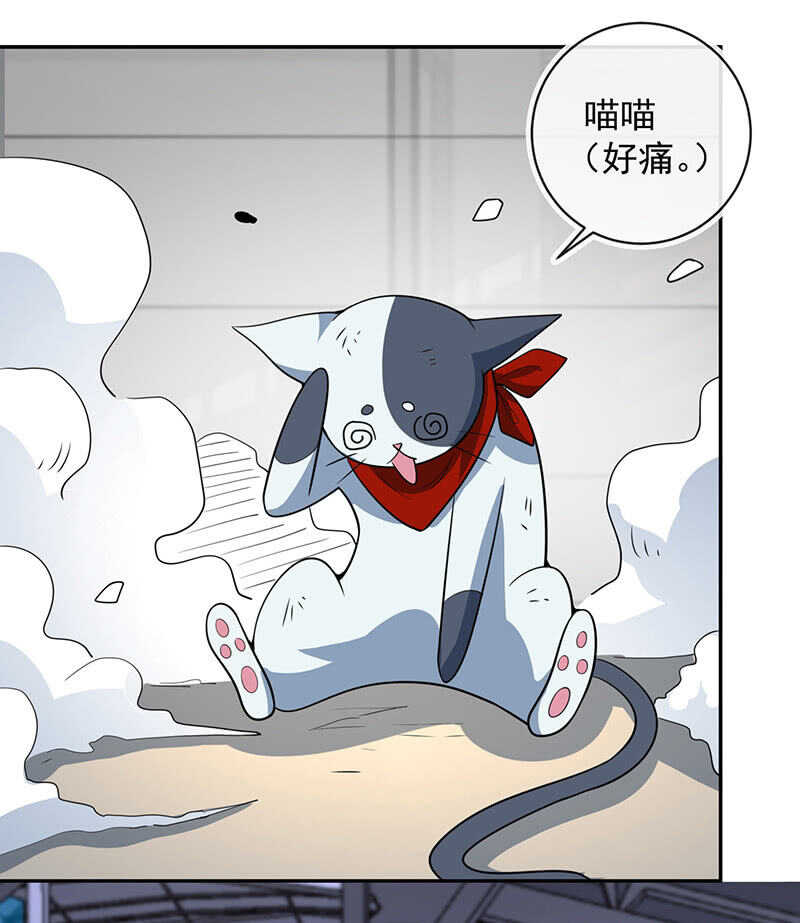 我的充电女友韩漫全集-猫猫特工队无删减无遮挡章节图片 