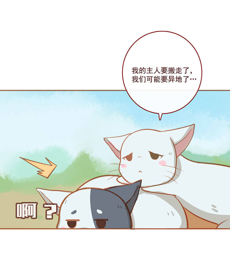 我的充电女友韩漫全集-烟姐的照片无删减无遮挡章节图片 