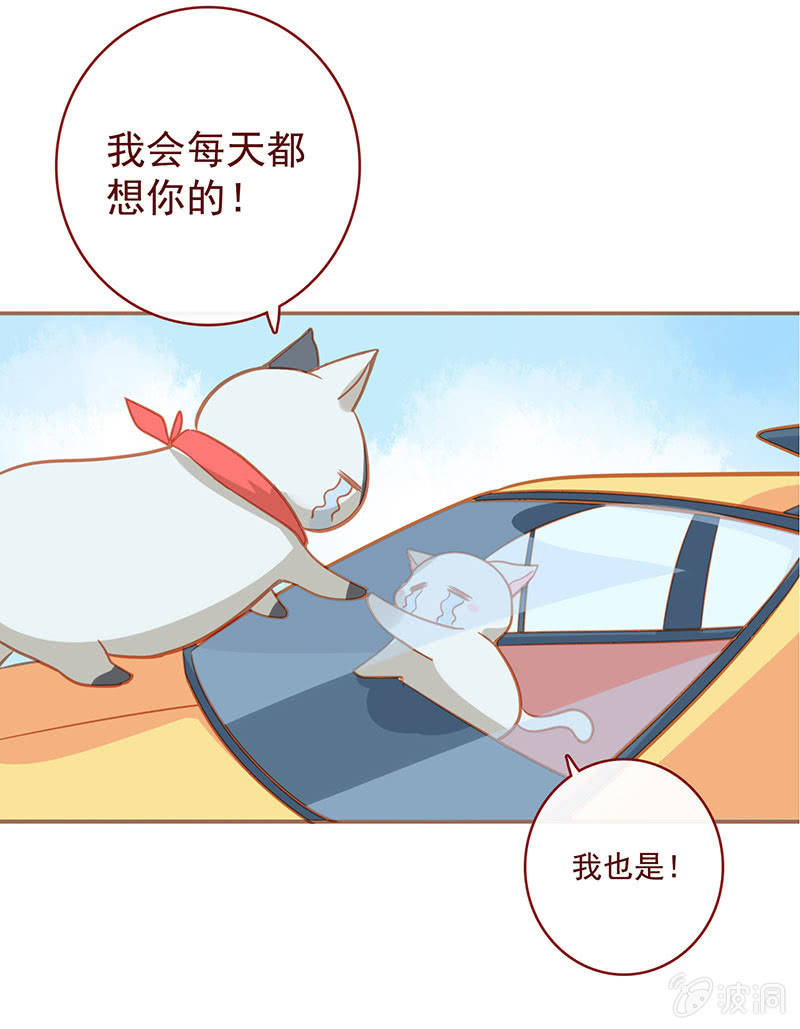 我的充电女友韩漫全集-烟姐的照片无删减无遮挡章节图片 