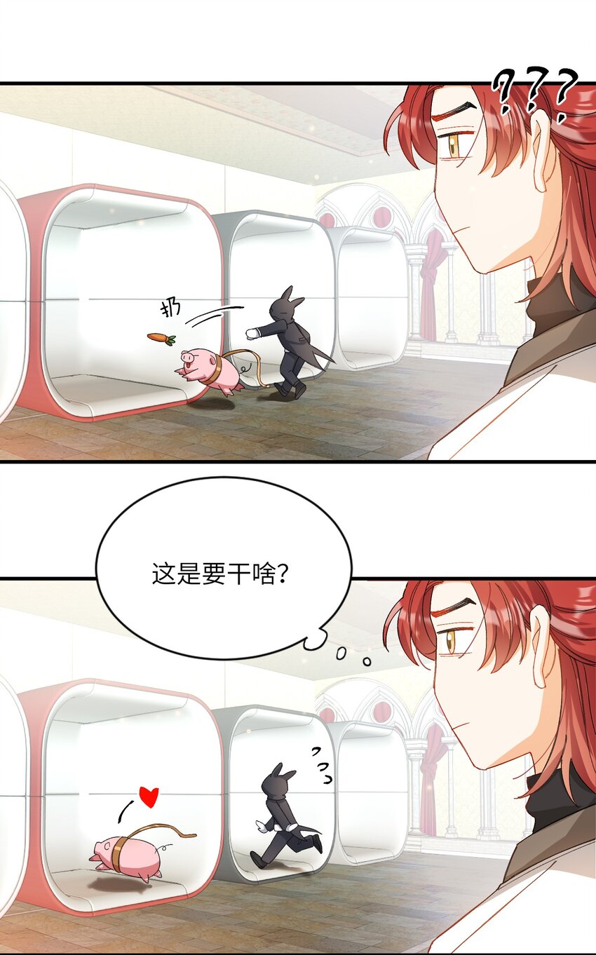 我的怪物韩漫全集-013 游戏开始~无删减无遮挡章节图片 