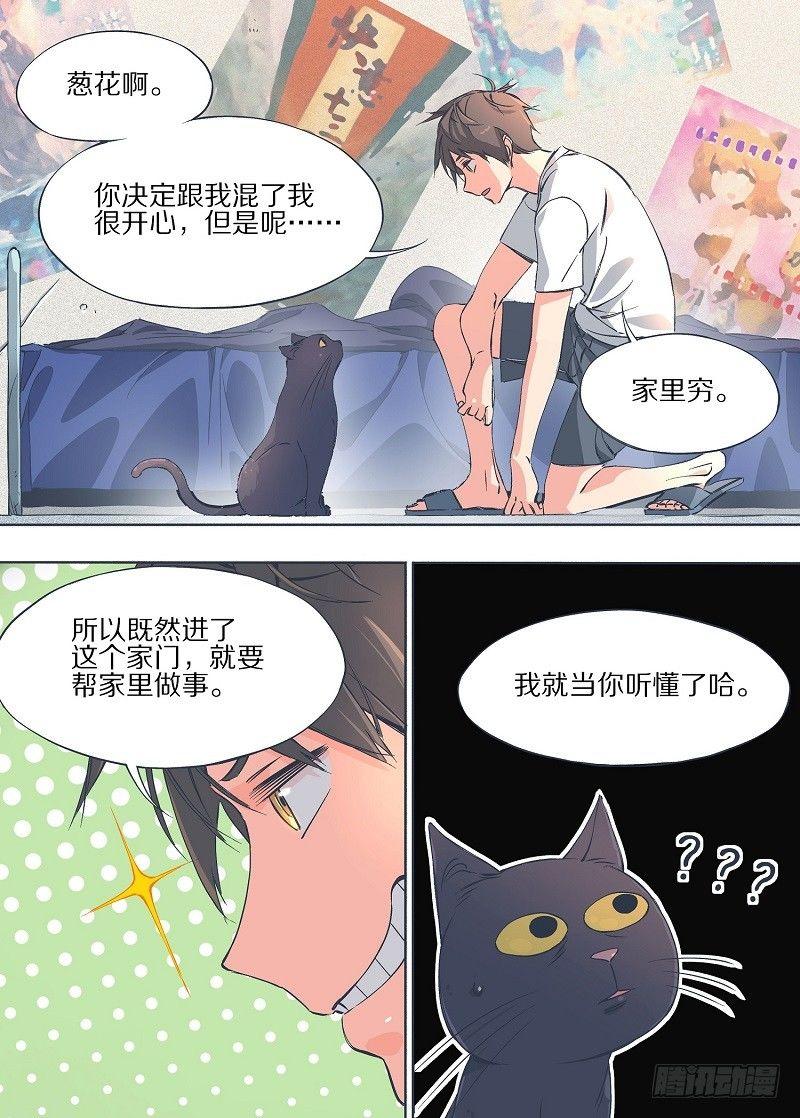 我的铁锤少女韩漫全集-6.我养猫了！无删减无遮挡章节图片 
