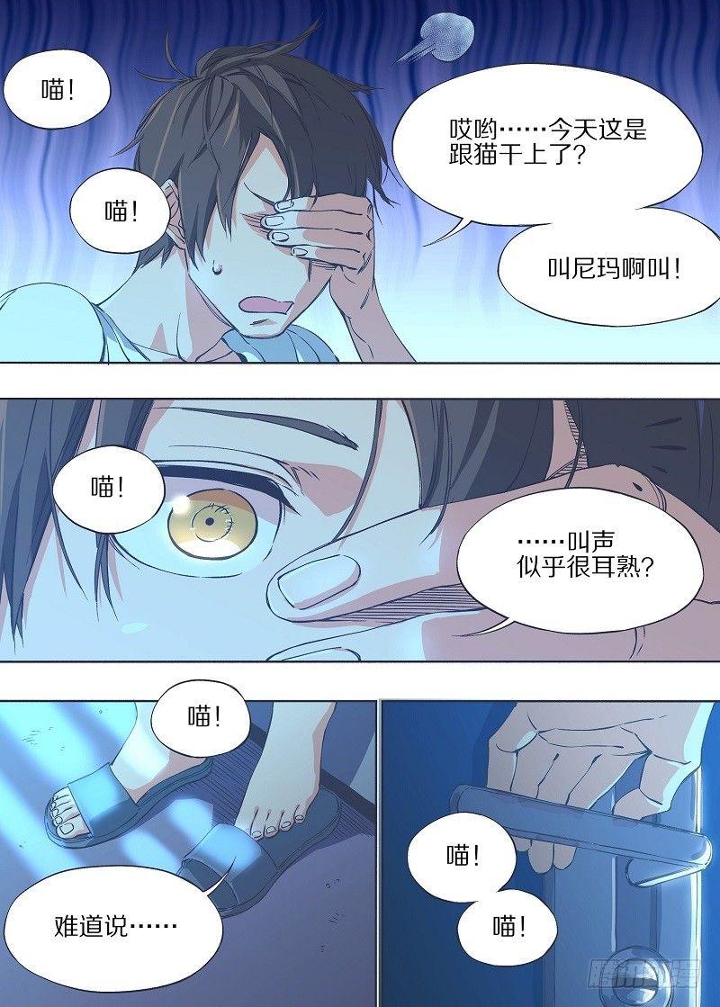 我的铁锤少女韩漫全集-6.我养猫了！无删减无遮挡章节图片 