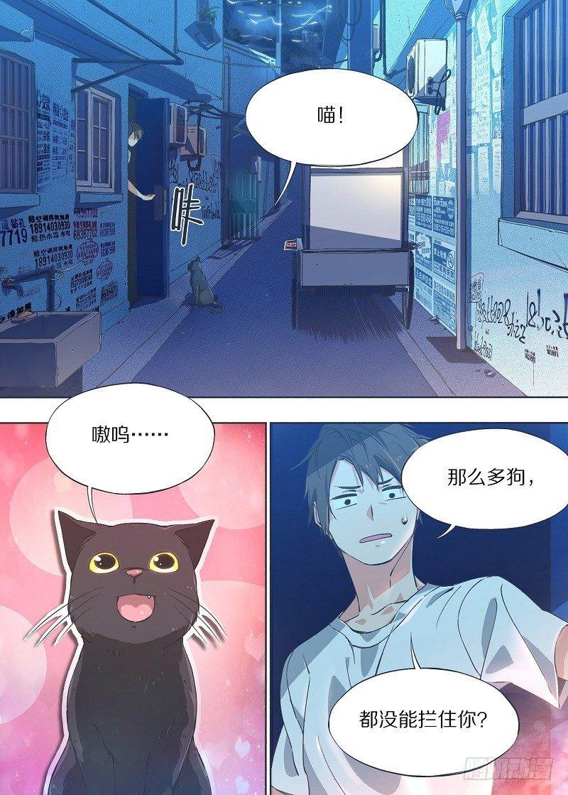 我的铁锤少女韩漫全集-6.我养猫了！无删减无遮挡章节图片 