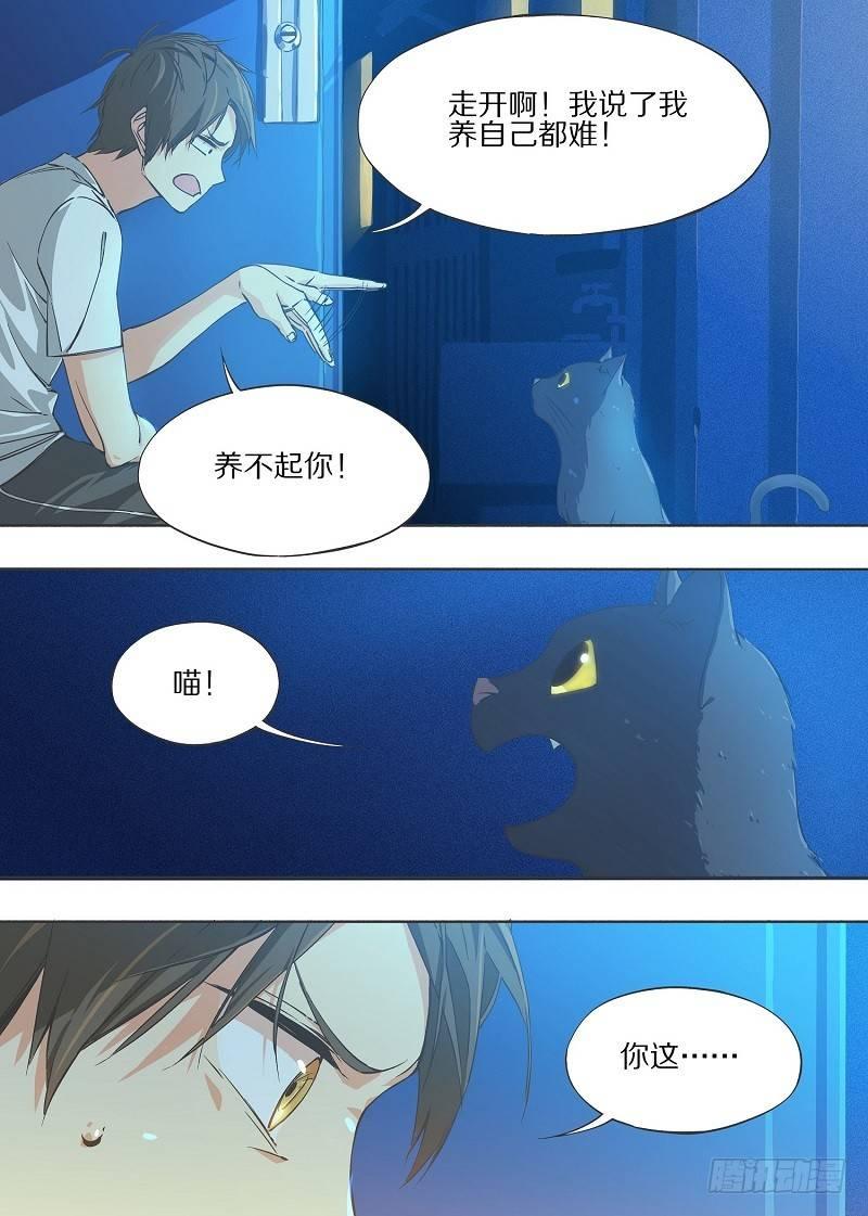 我的铁锤少女韩漫全集-6.我养猫了！无删减无遮挡章节图片 