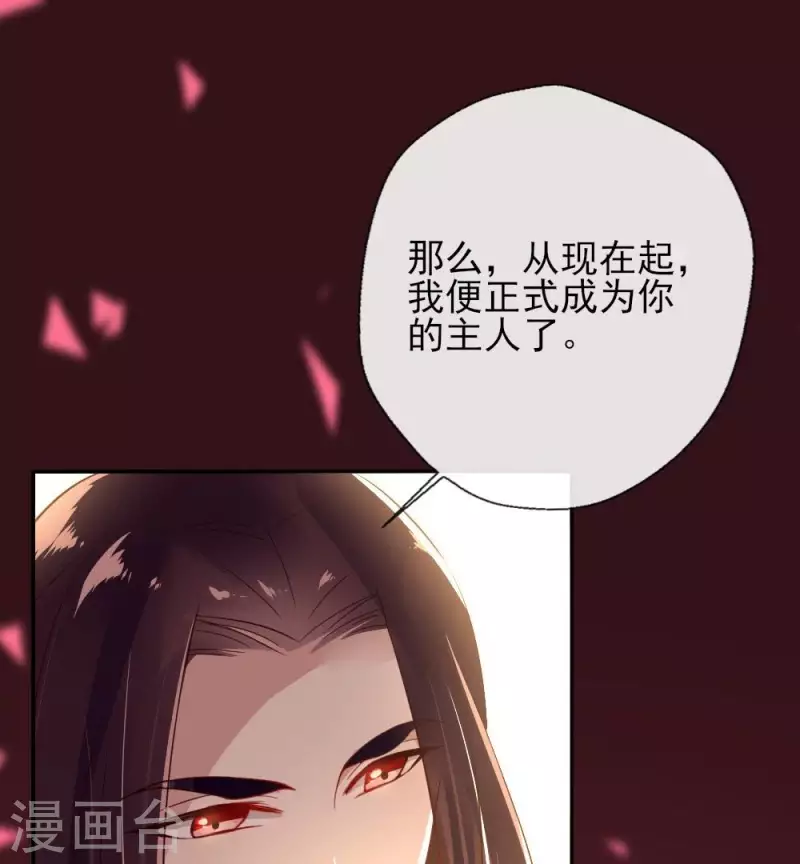 我的血族大人韩漫全集-第11话 解除契约？无删减无遮挡章节图片 