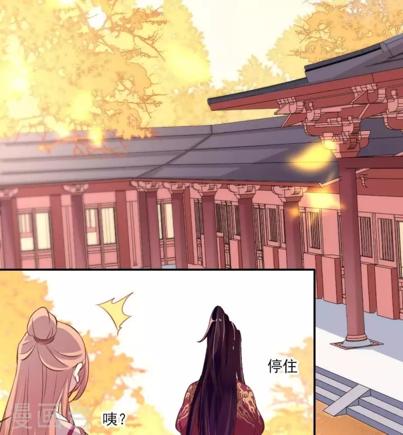 我的血族大人韩漫全集-第17话 大祭司来了无删减无遮挡章节图片 
