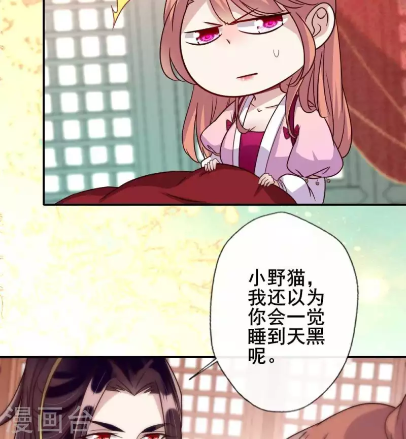 我的血族大人韩漫全集-第38话 Get到一只萌宠无删减无遮挡章节图片 