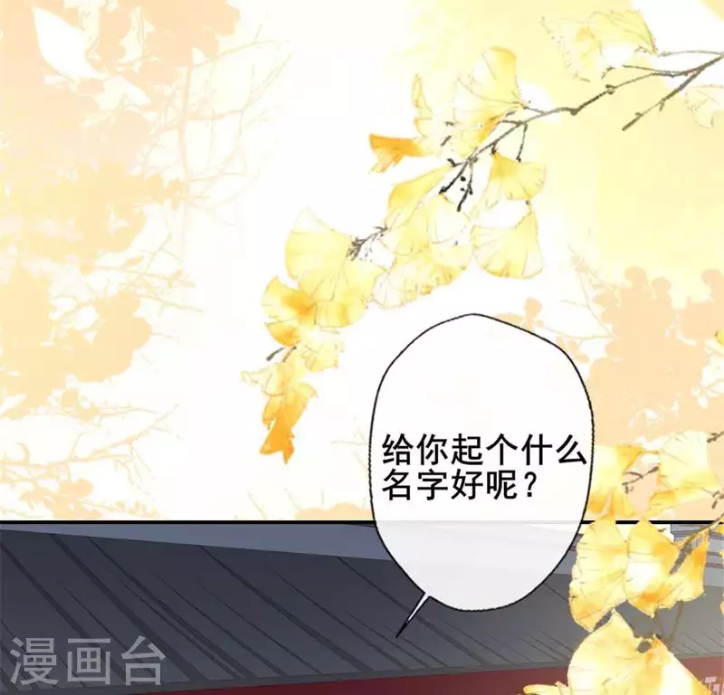 我的血族大人韩漫全集-第43话 谁干的？无删减无遮挡章节图片 