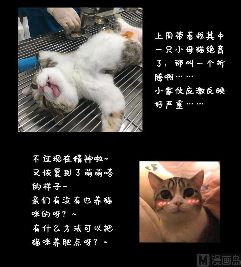 我的影帝大人韩漫全集-第129话 影帝生气 2无删减无遮挡章节图片 