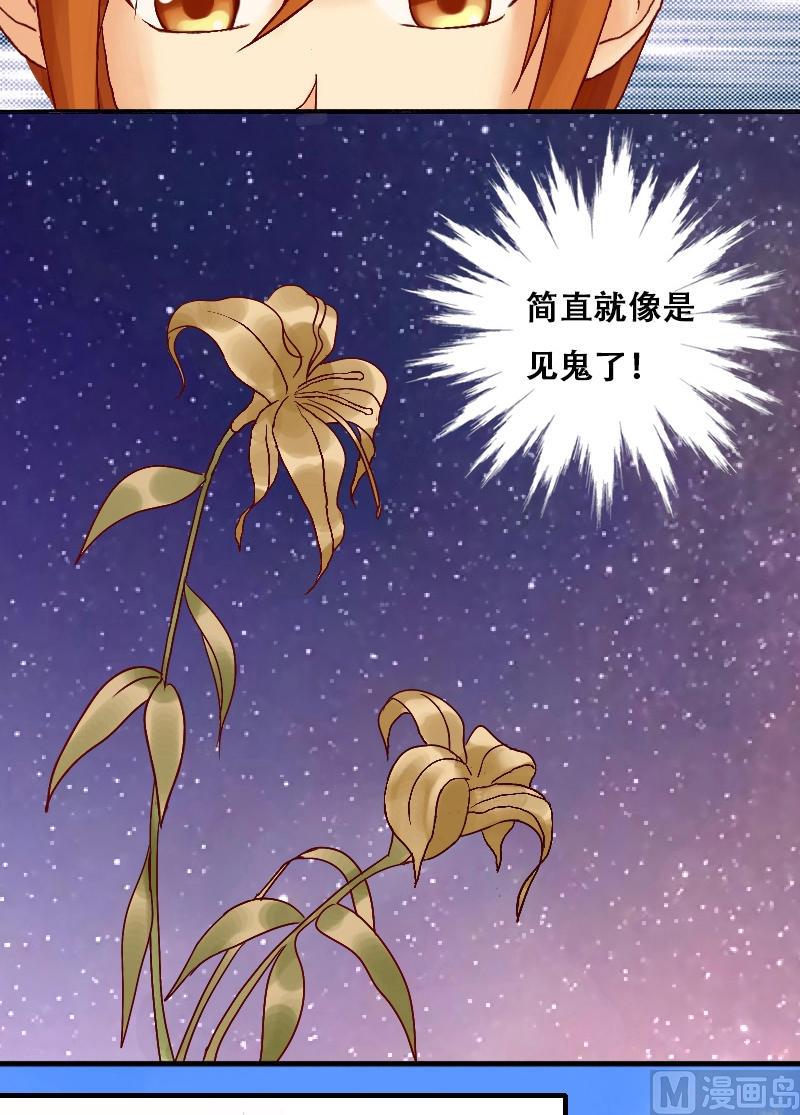 我的影帝大人韩漫全集-第3话 砸到男神（一）无删减无遮挡章节图片 