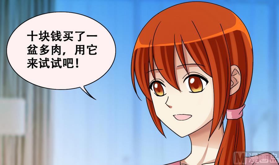 我的影帝大人韩漫全集-第252话 变异多肉3无删减无遮挡章节图片 