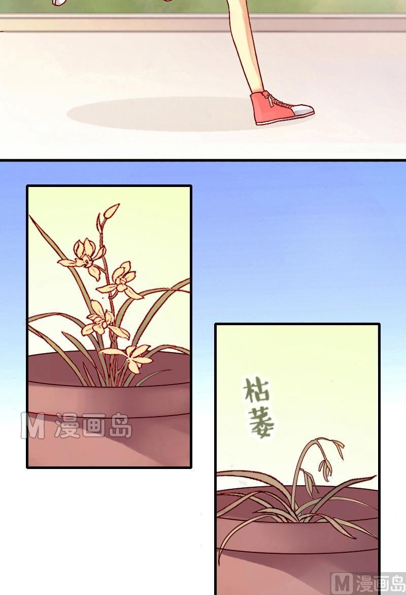 我的影帝大人韩漫全集-第6话 兰花枯萎（二）无删减无遮挡章节图片 