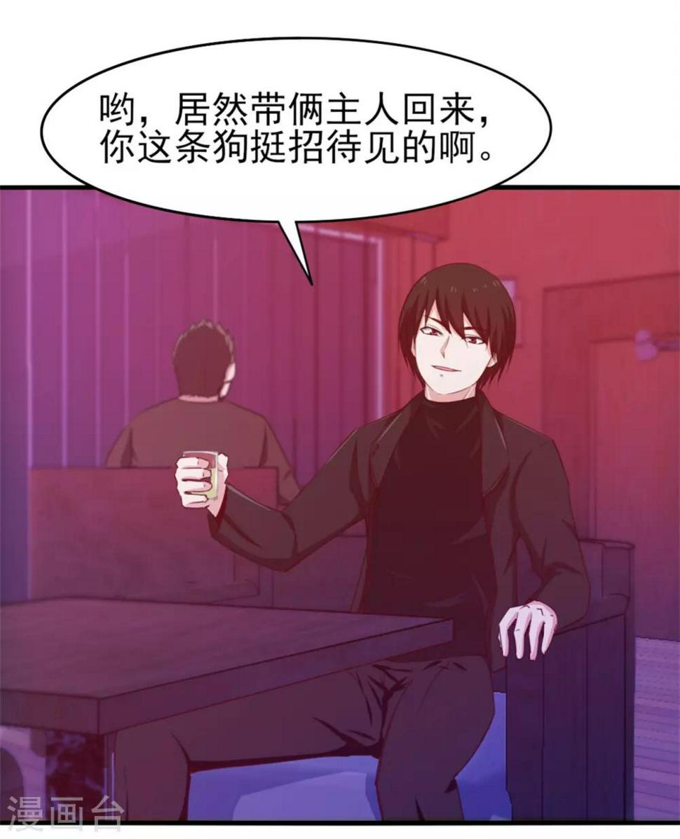 我和26岁美女房客韩漫全集-第197话 招人待见的狗无删减无遮挡章节图片 